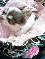 2011082618.jpg
