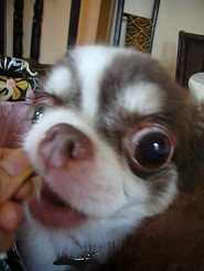 2011082619.jpg