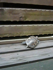 2011082620.jpg