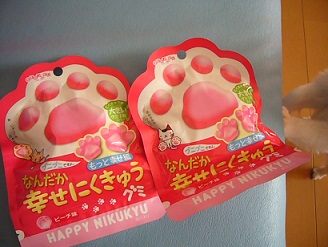 2011082701.jpg