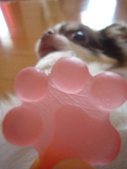 2011082706.jpg