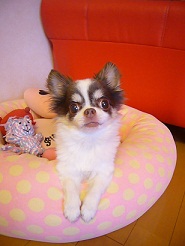 2011082707.jpg