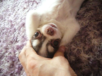 2011082708.jpg
