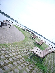 2011082802.jpg