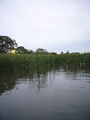 2011082803.jpg