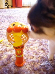 2011083001.jpg