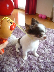 2011083004.jpg