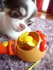 2011083006.jpg