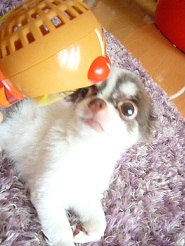 2011083007.jpg