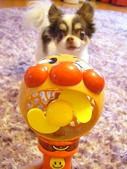 2011083008.jpg