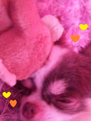 2011091105.jpg