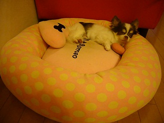 2011091201.jpg