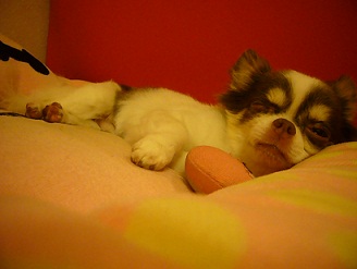 2011091202.jpg