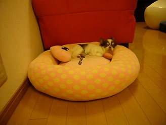 2011091203.jpg