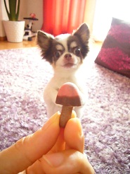 2011091301.jpg