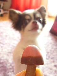 2011091302.jpg