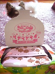 2011091304.jpg