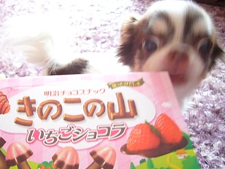 2011091305.jpg