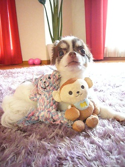 2011091501.jpg