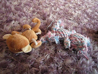 2011091502.jpg