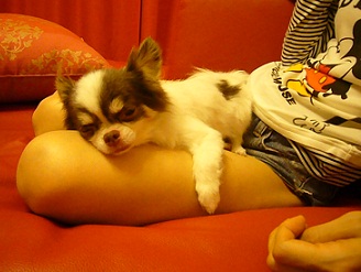 2011092301.jpg
