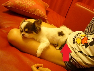 2011092302.jpg