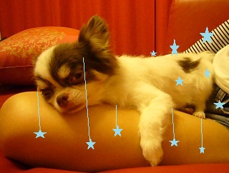 2011092303.jpg