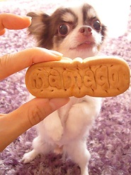 2011092401.jpg