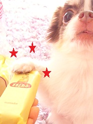 2011092402.jpg