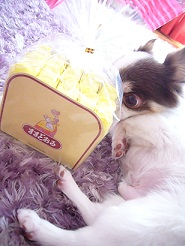 2011092406.jpg
