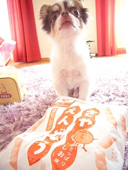 2011092407.jpg