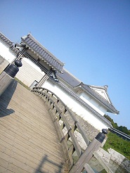 2011101403.jpg