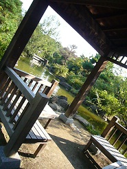 2011101405.jpg