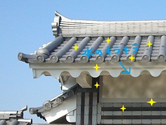 2011101406.jpg