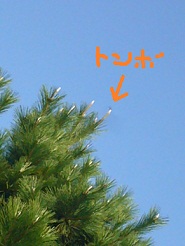 2011101408.jpg
