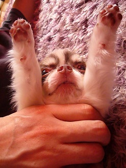 2011101503.jpg