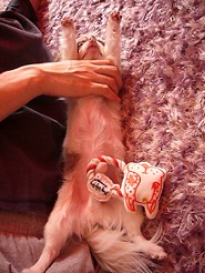 2011101504.jpg