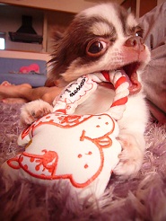 2011101505.jpg