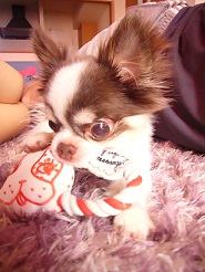 2011101506.jpg