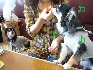 2011101802.jpg