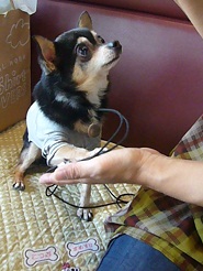 2011101803.jpg