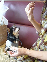 2011101804.jpg