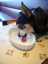2011101805.jpg