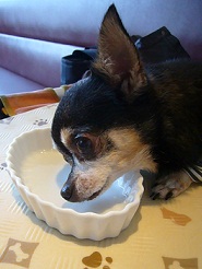2011101806.jpg