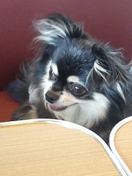 2011101807.jpg