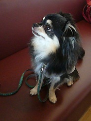 2011101808.jpg