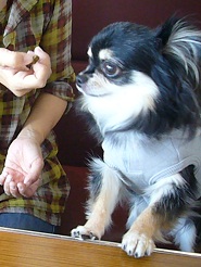 2011101809.jpg