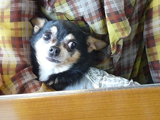 2011101813.jpg