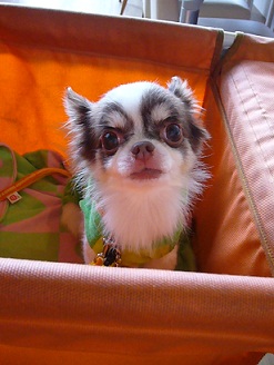 2011101818.jpg