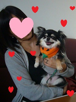 2011101819.jpg